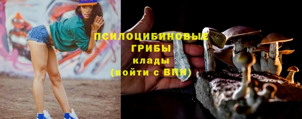 прущий лед Алексеевка