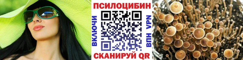 ссылка на мегу вход  Котельники  Псилоцибиновые грибы Psilocybine cubensis  сколько стоит 